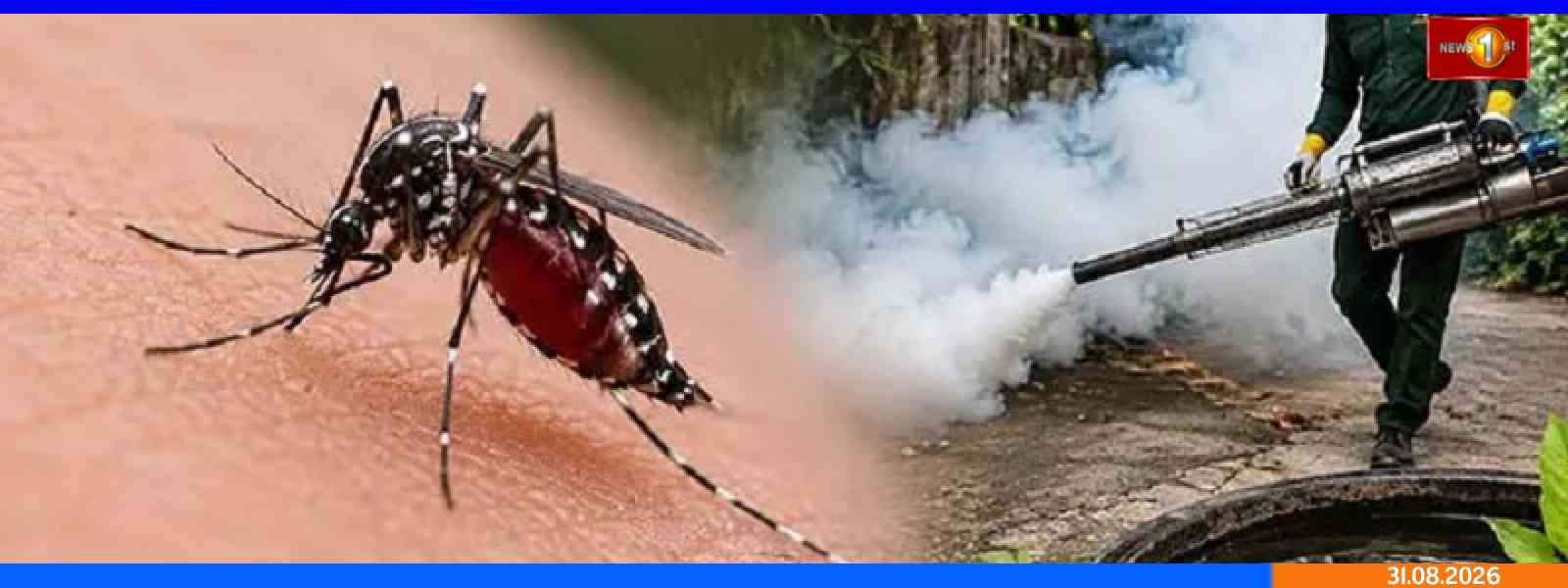 டெங்கு ஒழிப்பு வேலைத்திட்டம் ஆரம்பம்